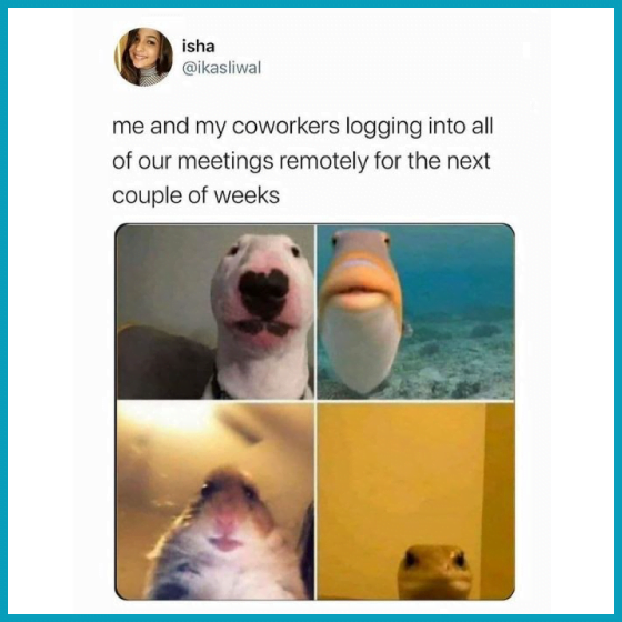 remote work memes