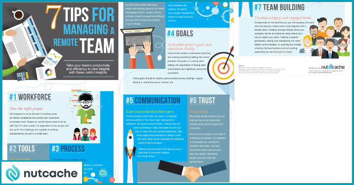 Fun and Fabulous Infographics About Managing a Remote Team