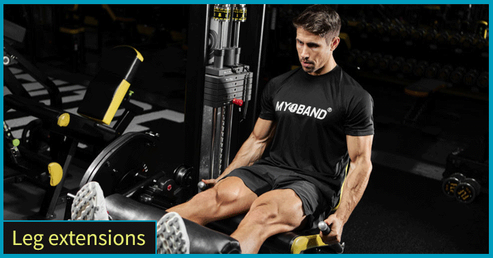 Leg extensions