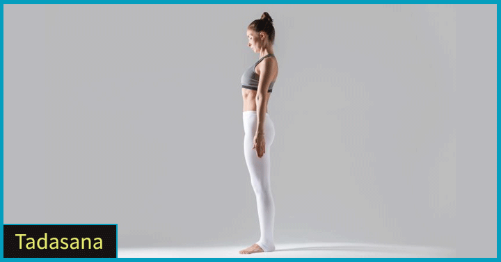 Tadasana - The Mountain Pose