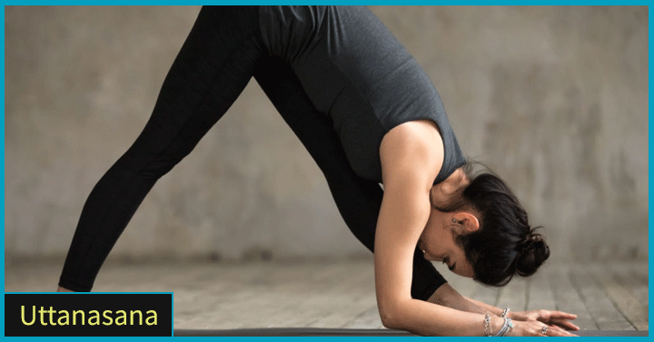 Uttanasana or The Forward Bend