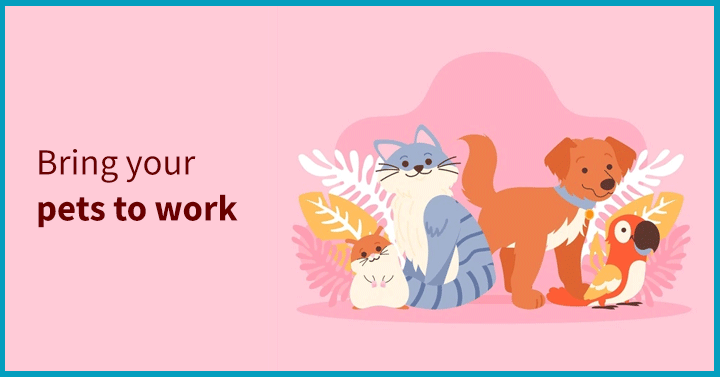 Bring Your Pets to the Party