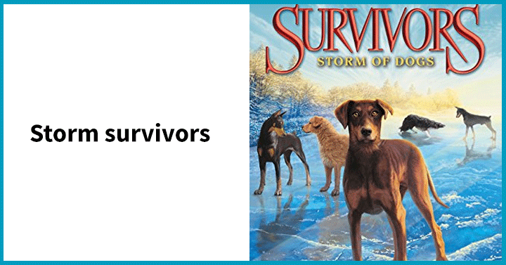 Storm survivors