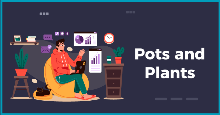 Pots and plants 