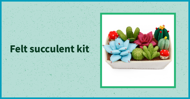 Felt succulent kit
