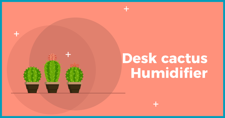 Desk cactus humidifier