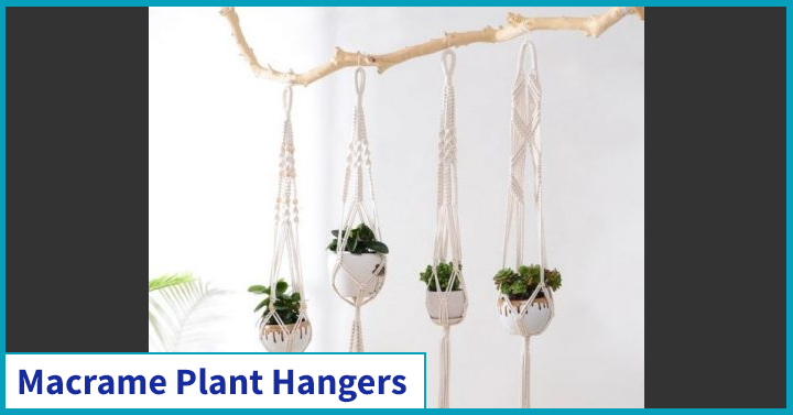 Macrame Plant Hangers