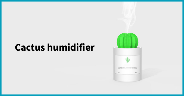 Cactus humidifier