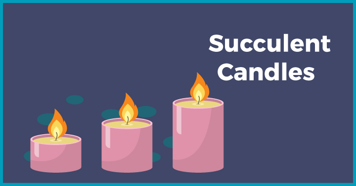 Succulent Candles