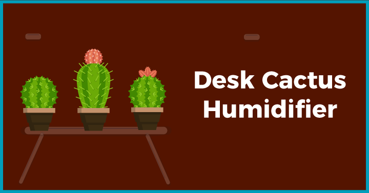 Desk cactus humidifier