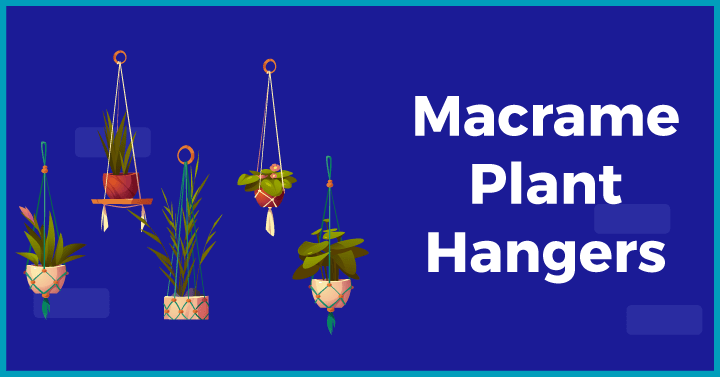 Macrame Plant Hangers