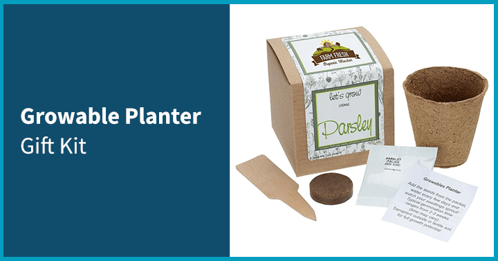 Growable Planter Gift Kit