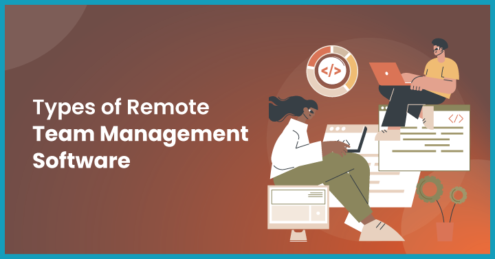 Types of Remote Team Management Software