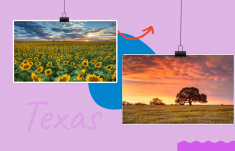 corporate retreat locations in texas