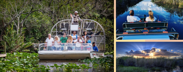 Enjoy a Boat Ride in the Everglades