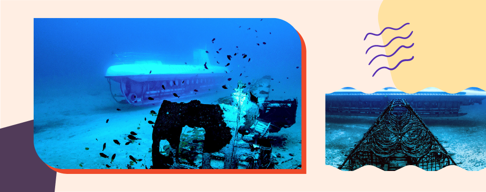 Enjoy Waikiki Atlantis Submarine Adventure