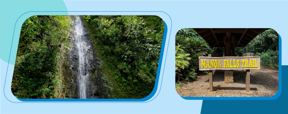 Hike To The Manoa Falls