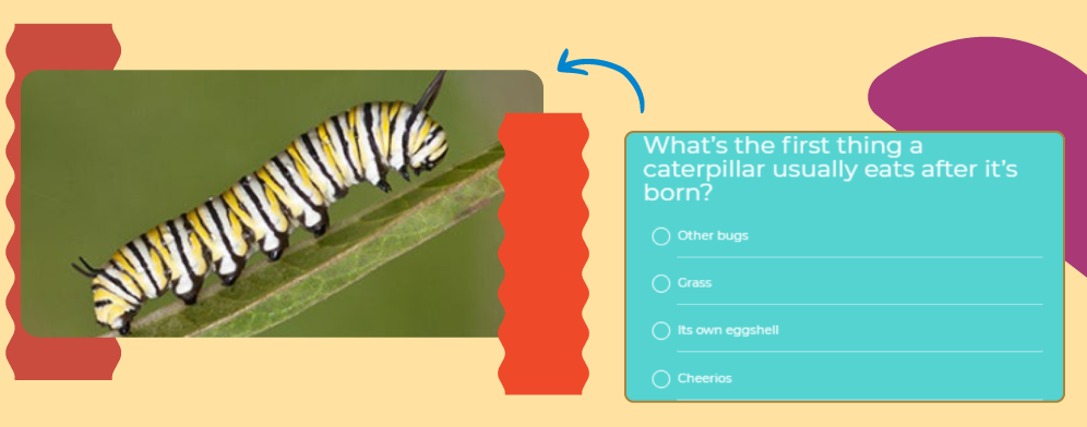 The essentials of interactive component